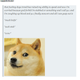 Illustration for article titled Last night? Many doges. Much alcohol. Maybe friends. So WOW.